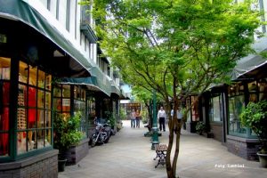 Paseo La Vila - Providencia